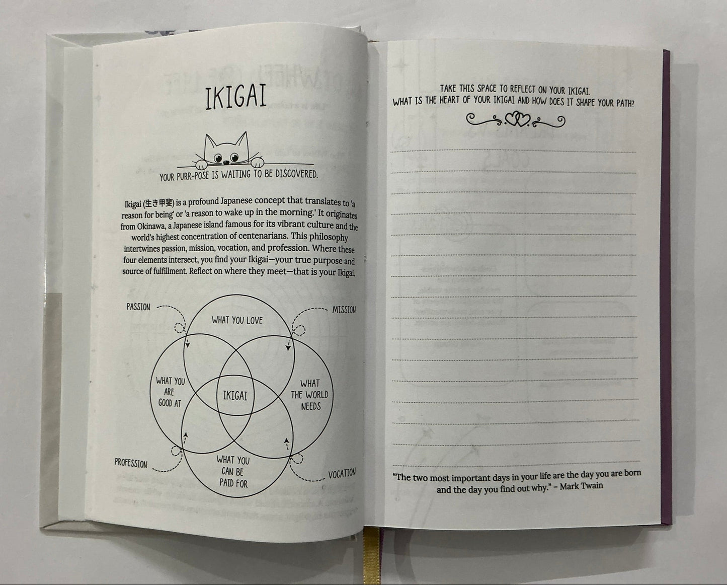 Organized Chaos - 6-Month Guided Journal & Planner